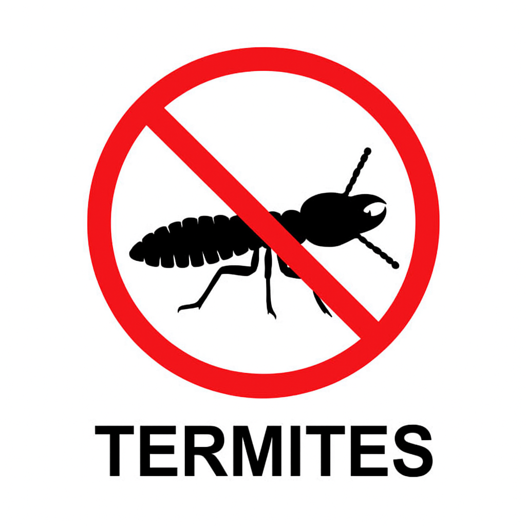 ChatGPT Image Jul 4 2025 04 12 10 PM