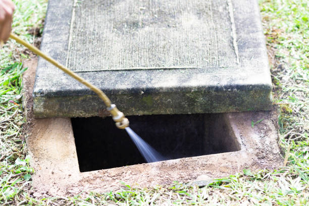 Istockphoto 1082009560 612x612 1